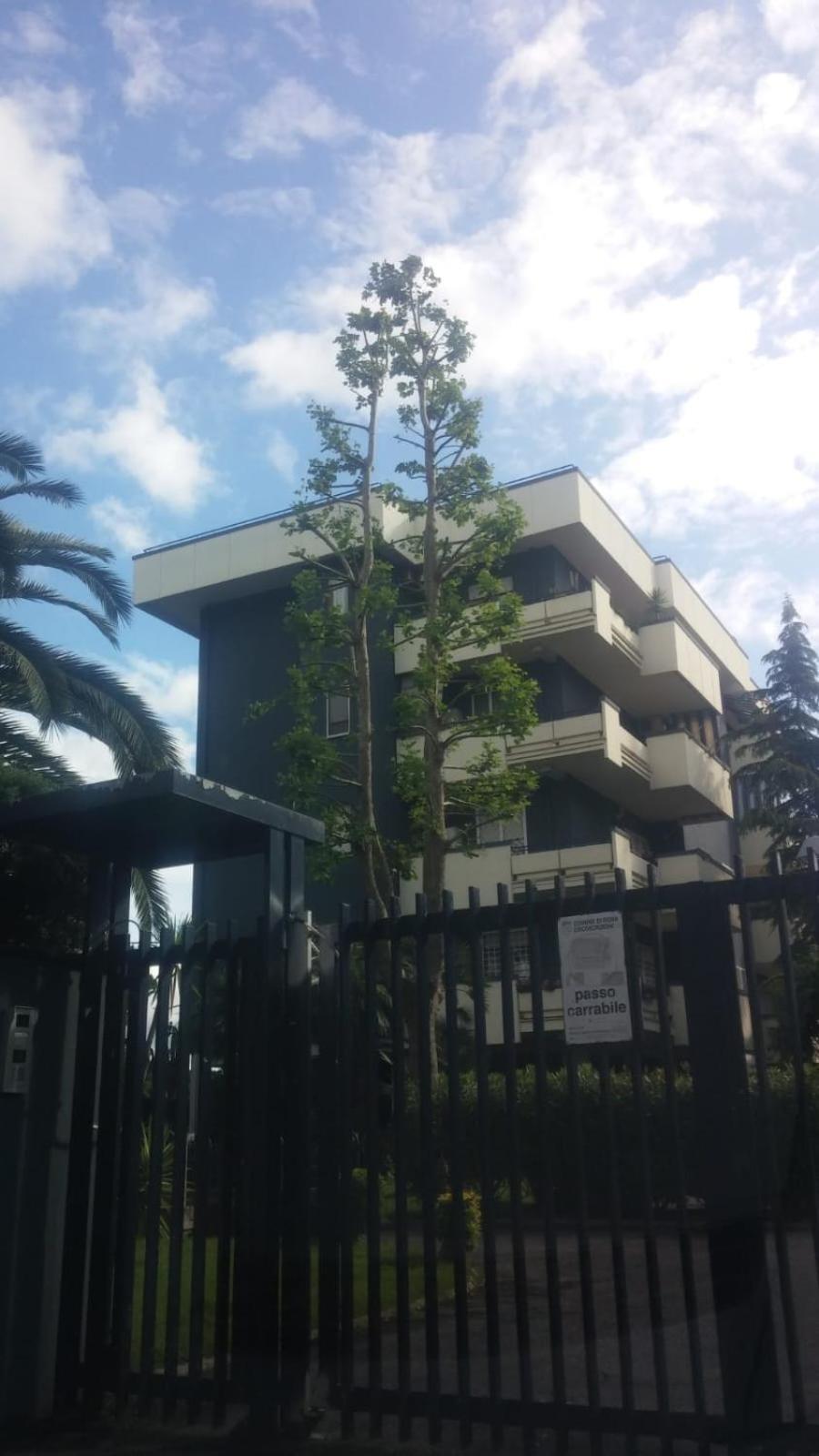Casa Giordano Apartment โรม ภายนอก รูปภาพ